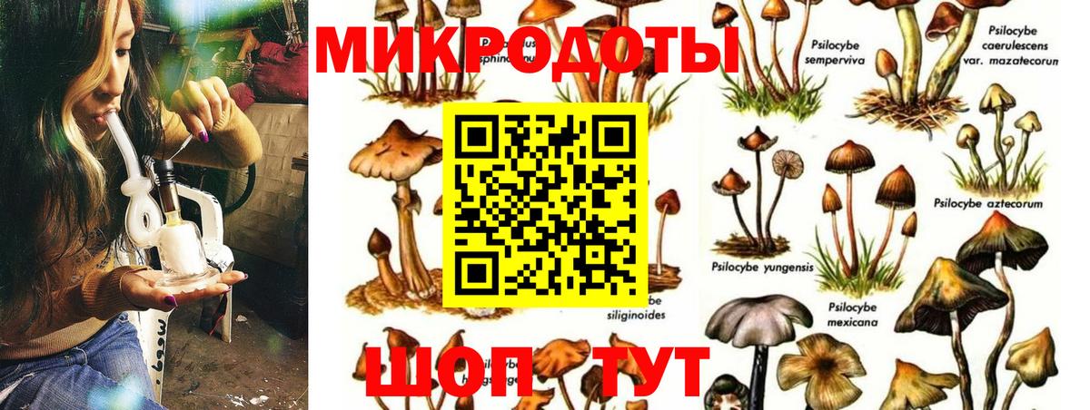 Галлюциногенные грибы прущие грибы Урай