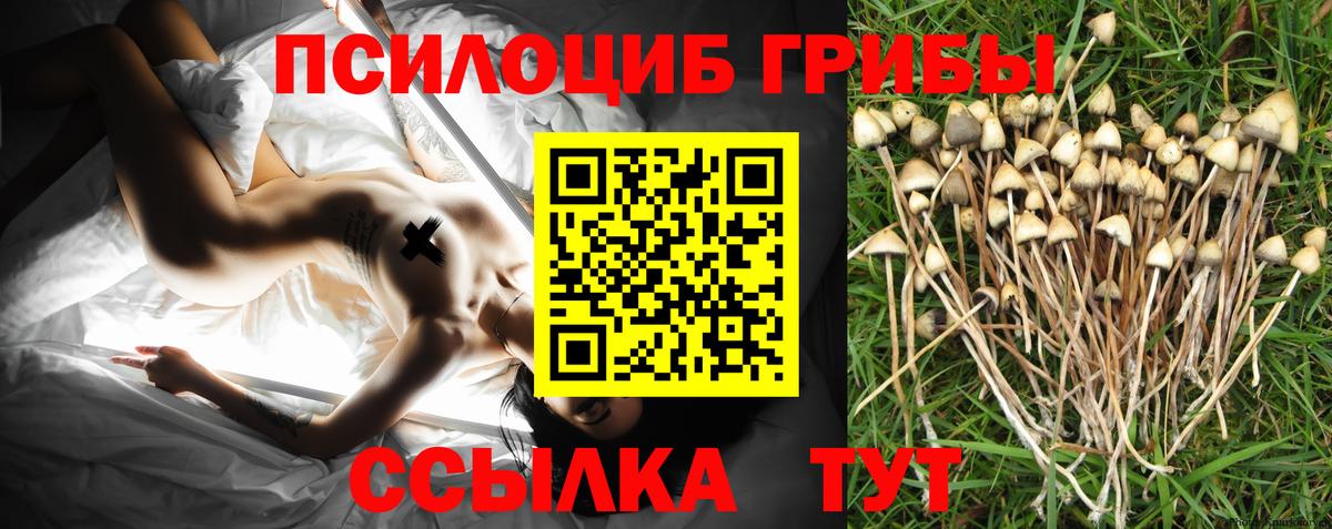 Урай  Галлюциногенные грибы GOLDEN TEACHER  Галлюциногенные грибы GOLDEN TEACHER  Вход с VPN 